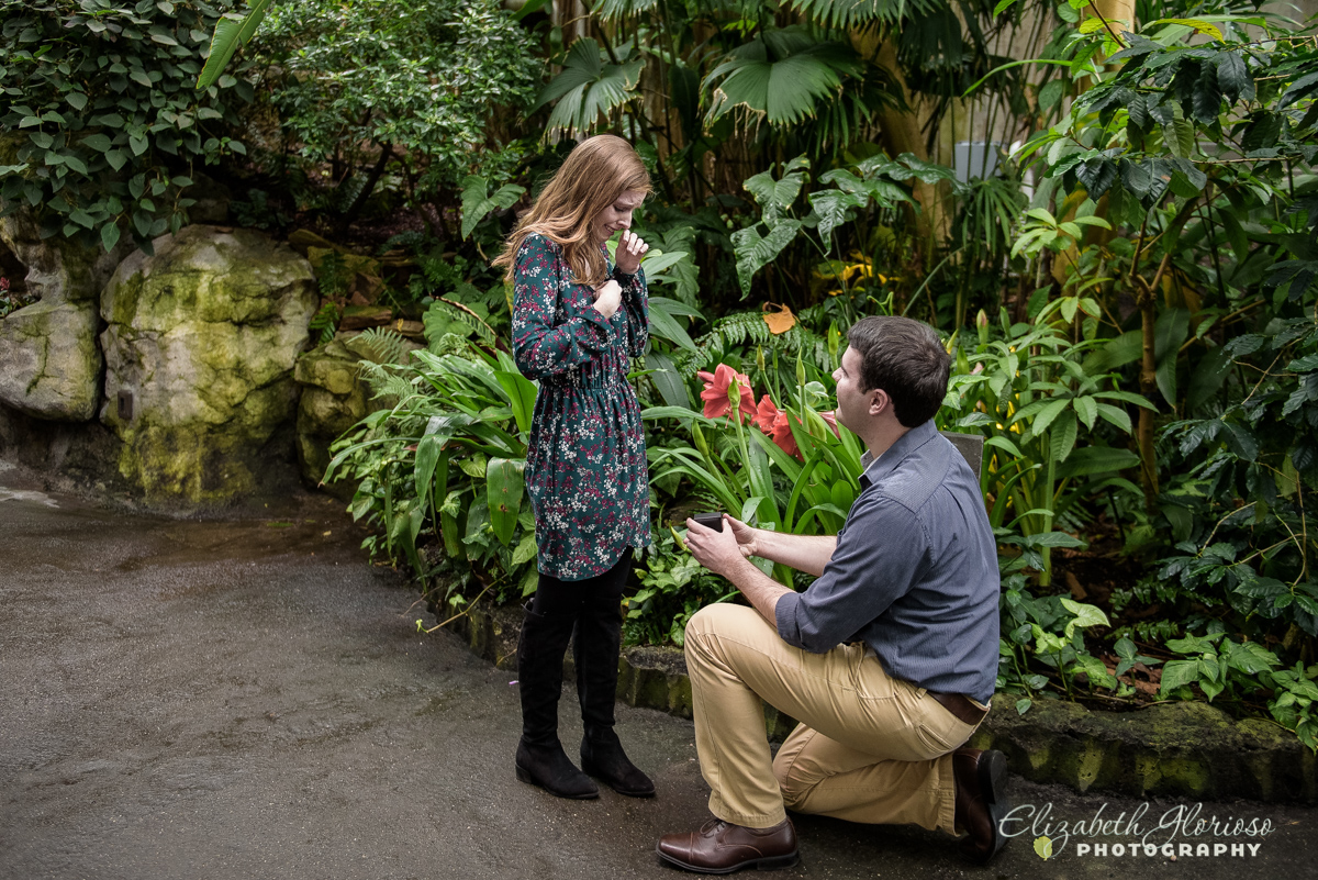 Wedding Proposal Cleveland Botanical Garden Cleveland Ohio
